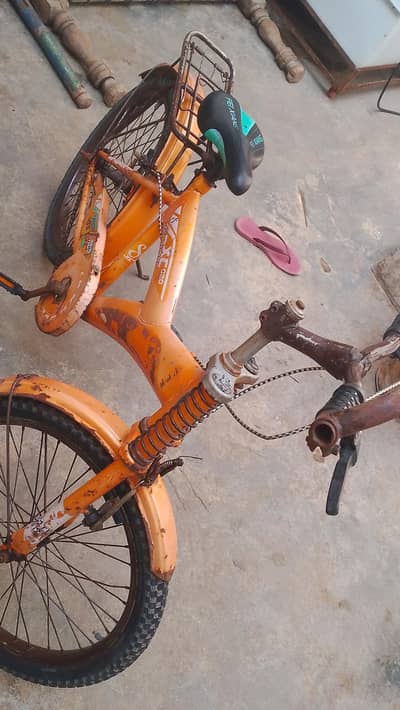 20 size cycle