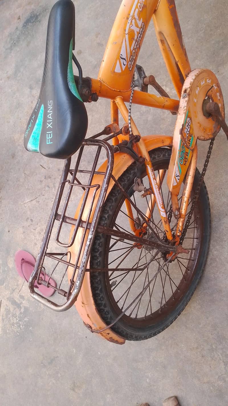 20 size cycle 2