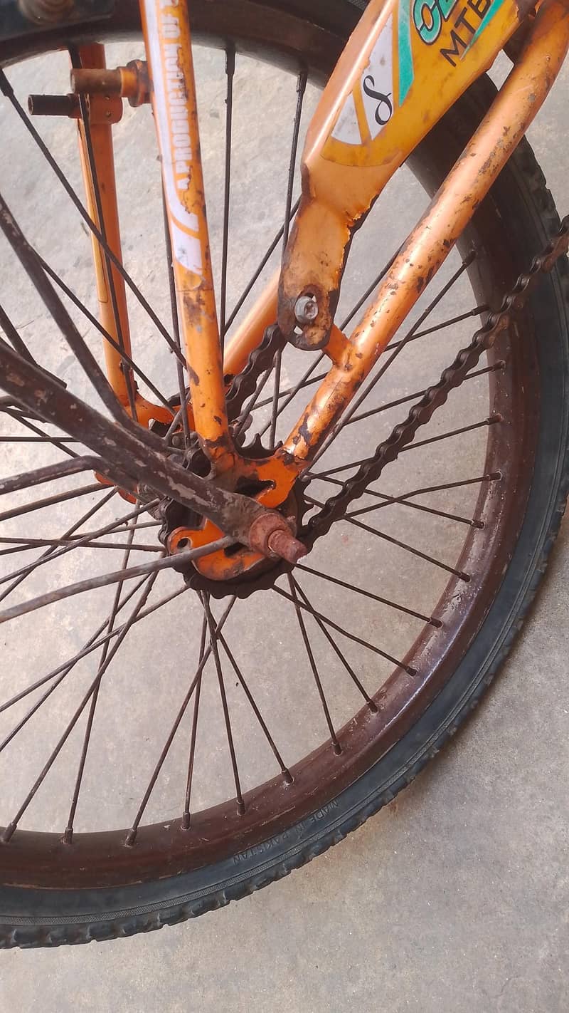20 size cycle 3