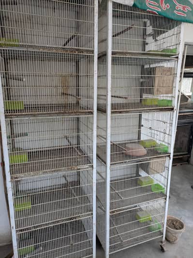 5 portion angle cages 8000/cage birds cage , cage , iron cage pinjra