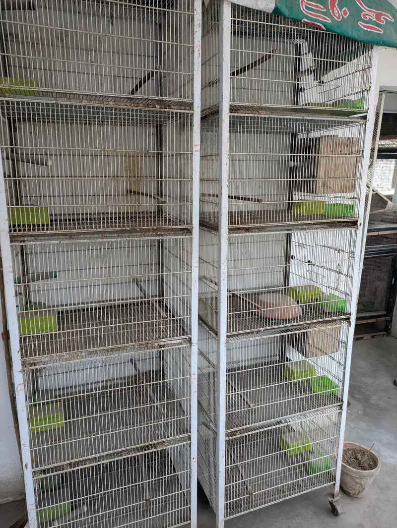 5 portion angle cages 8000/cage birds cage , cage , iron cage pinjra