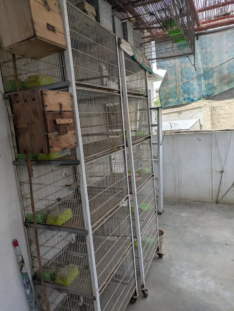 5 portion angle cages 8000/cage birds cage , cage , iron cage pinjra — photo 2