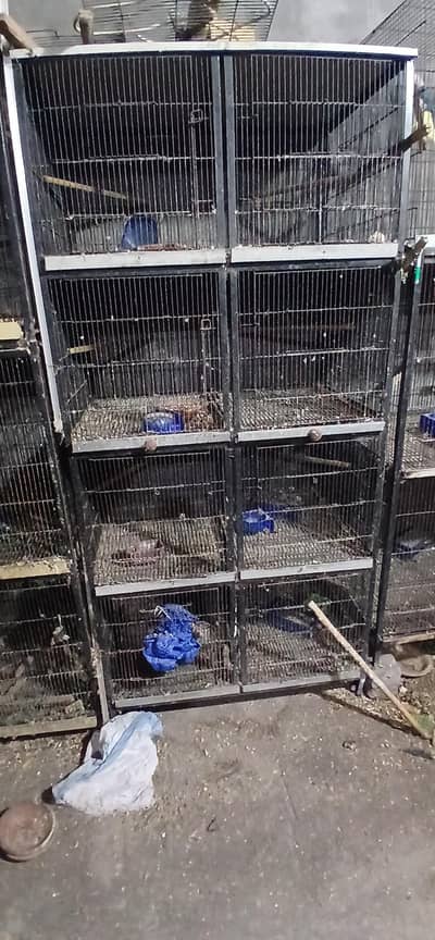 8 portion cage