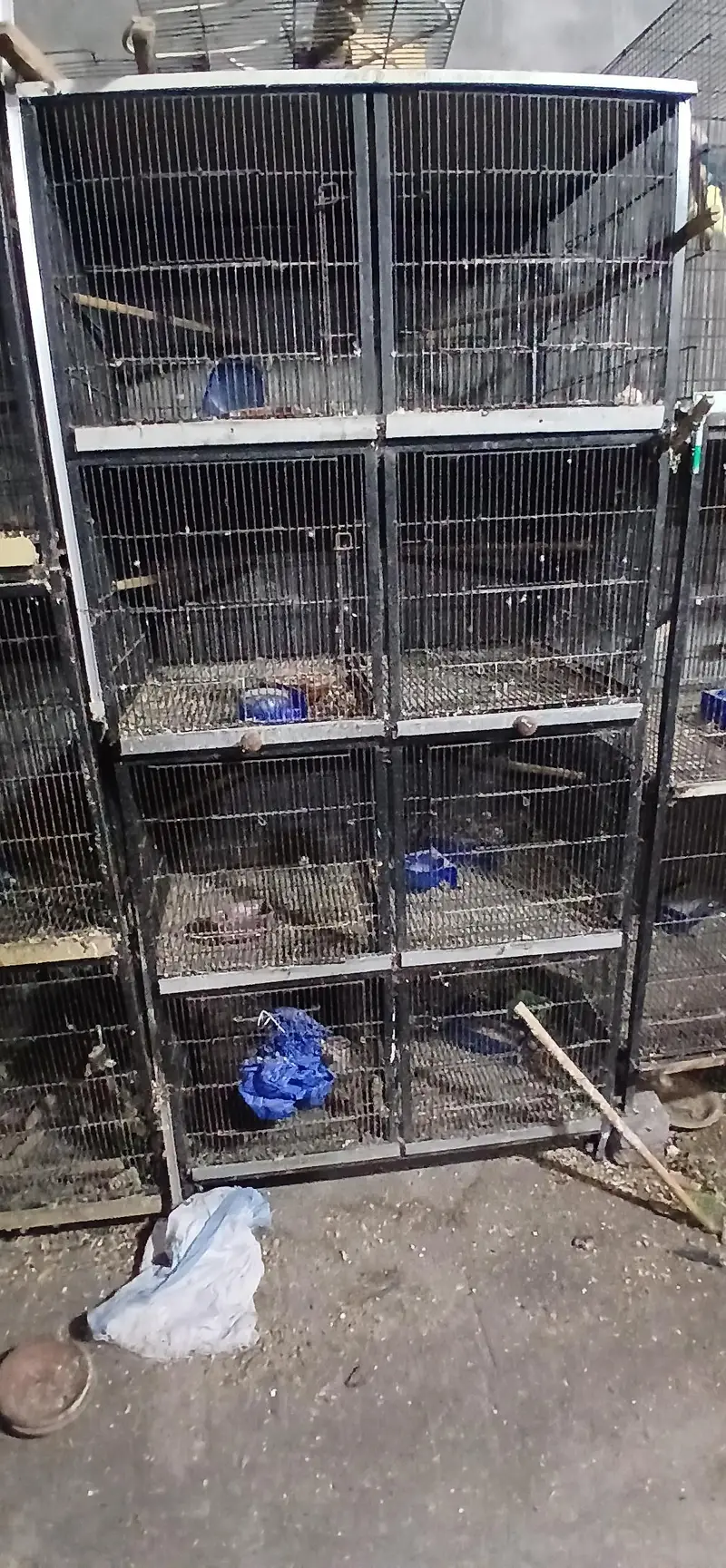 8 portion cage