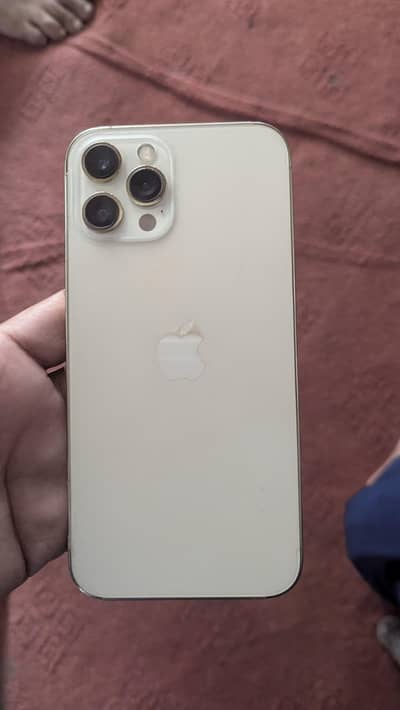 Apple iPhone 12 Pro Max