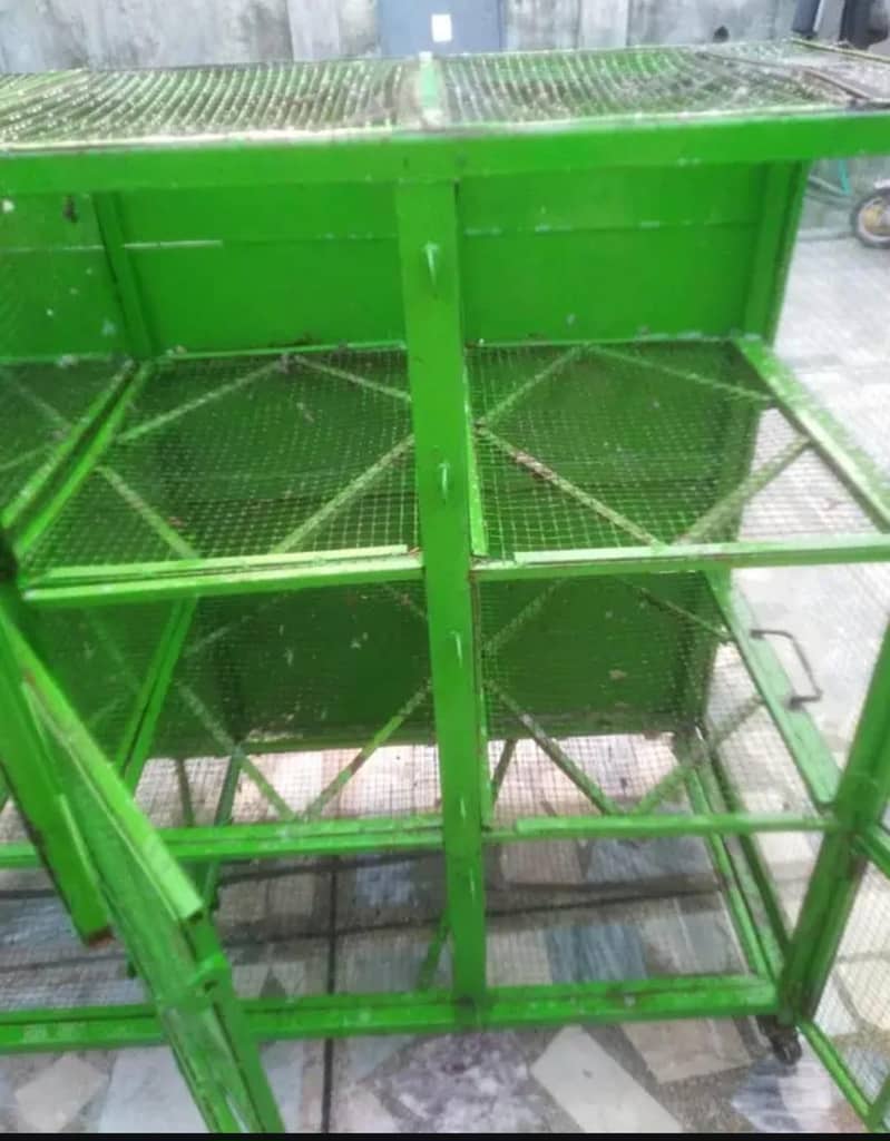 hen cage 1