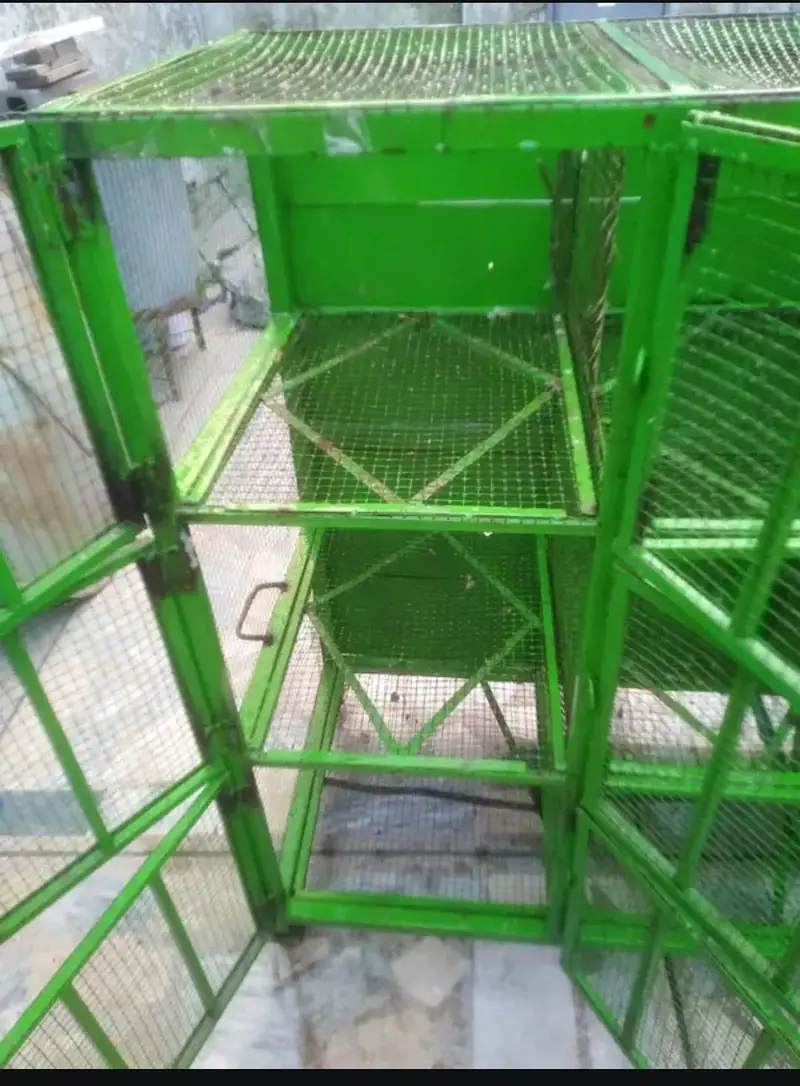 hen cage — photo 5