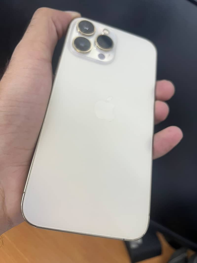 Apple iPhone 13 Pro Max 1