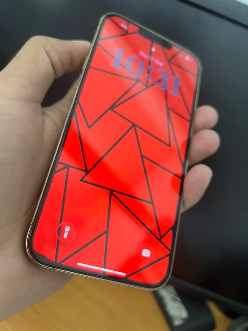 Apple iPhone 13 Pro Max 2