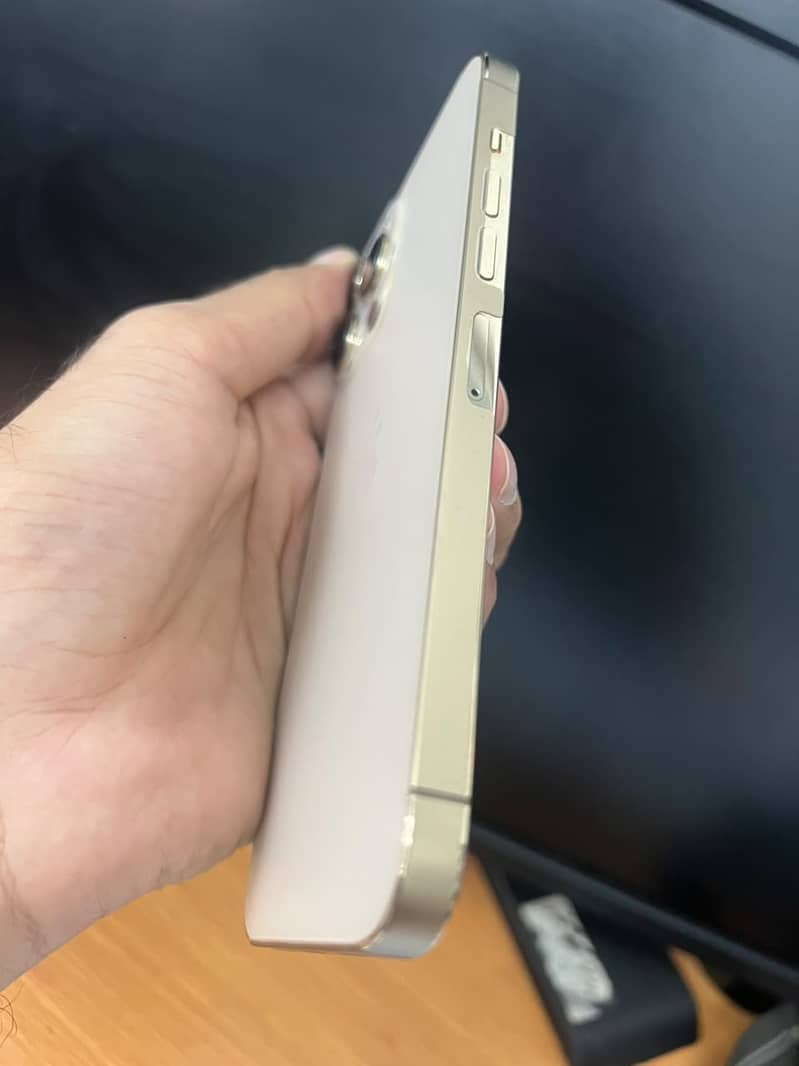 Apple iPhone 13 Pro Max 3