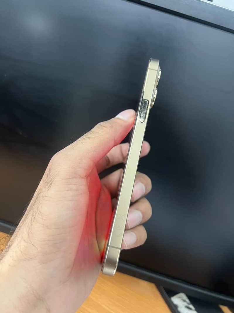 Apple iPhone 13 Pro Max 4