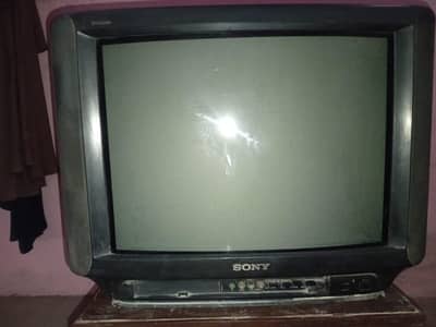 Sony TV