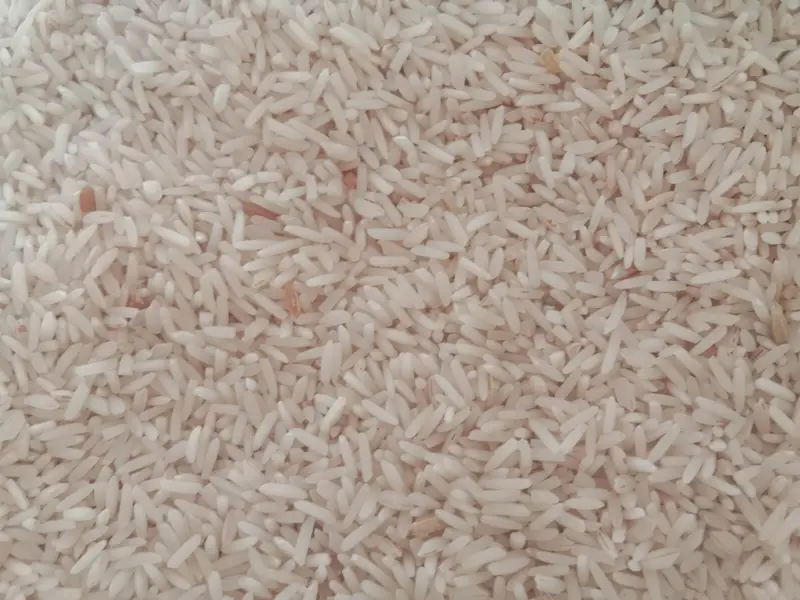 دیسی لونگی چاول – تازہ اور بہترین کوالٹی — photo 3