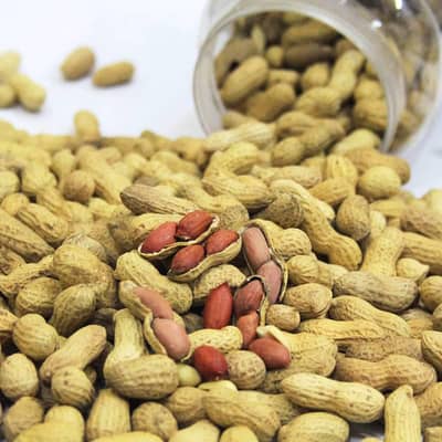 Peanuts