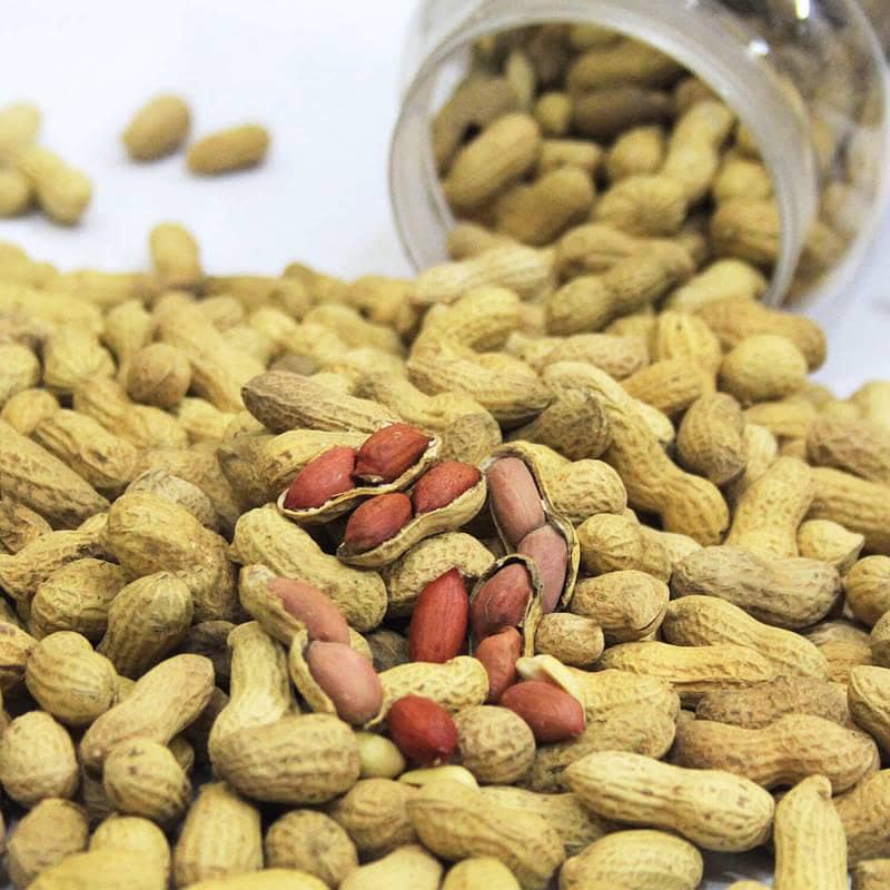 Peanuts 0
