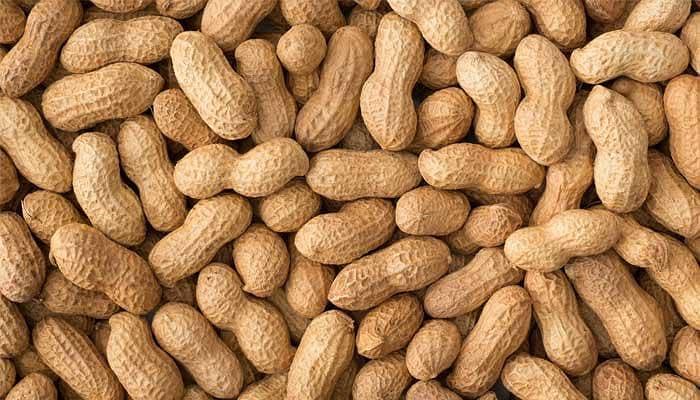Peanuts 1