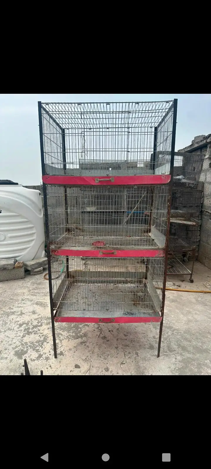 Rabbit Bird cage for sale — photo 2