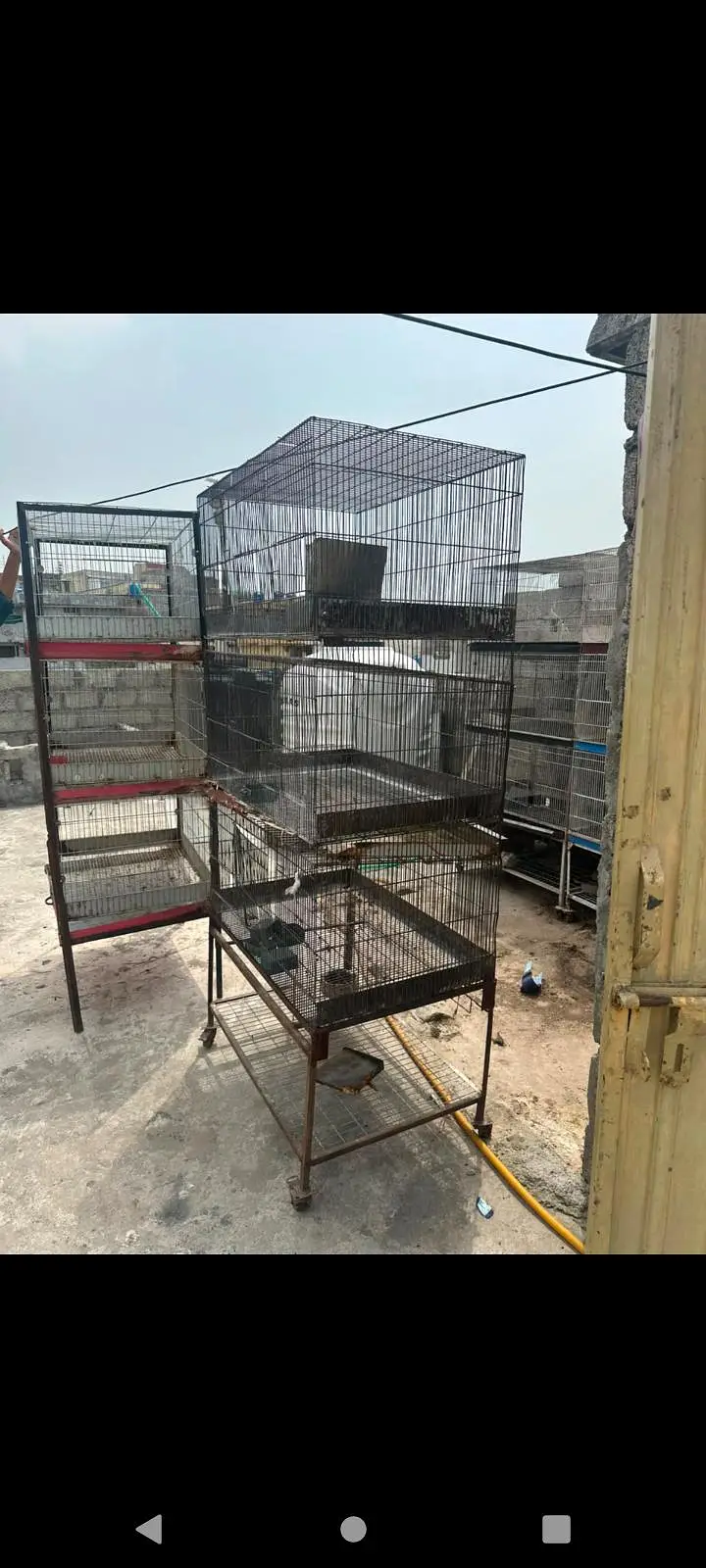 Rabbit Bird cage for sale — photo 3