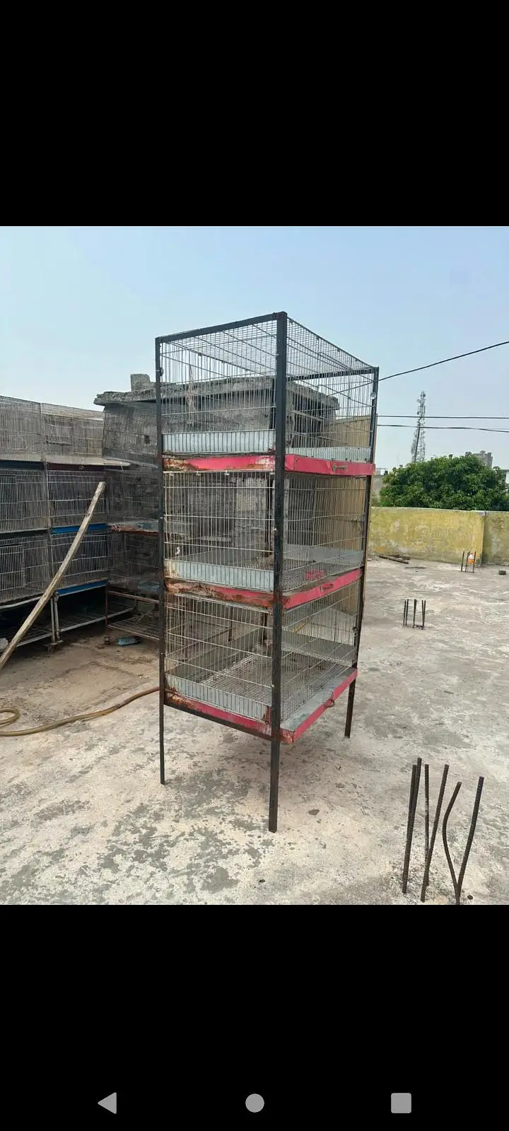 Rabbit Bird cage for sale — photo 4