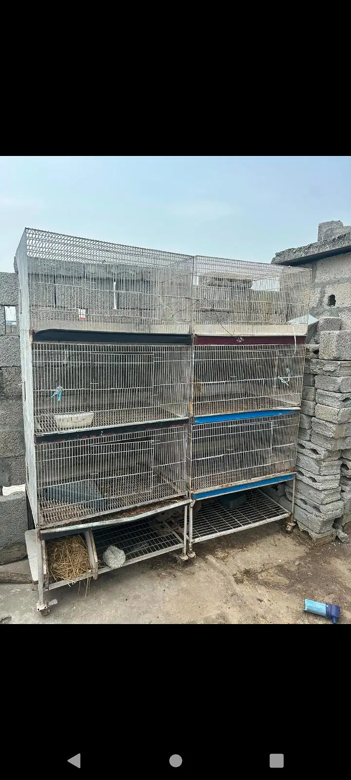 Rabbit Bird cage for sale — photo 6
