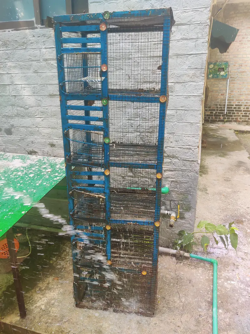 for sale 50 kg kabotro k liay pinjra — photo 3