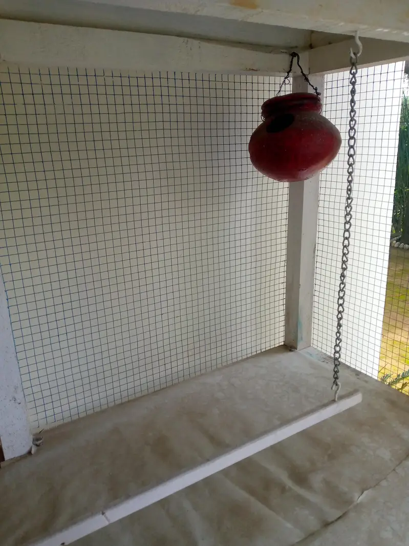 pure wooden cage of pets — photo 3