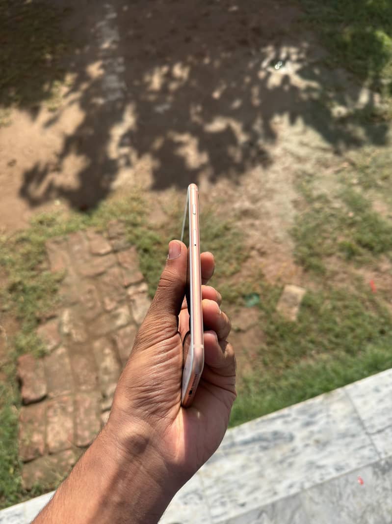 Apple iPhone 8 Plus 3