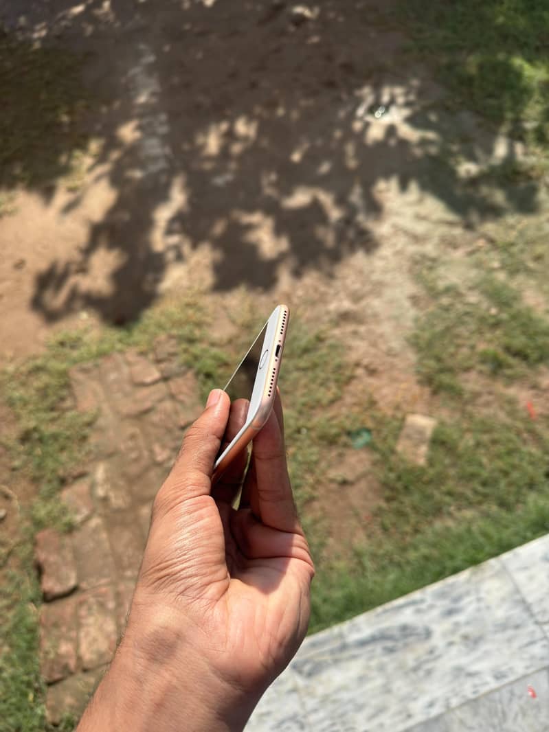 Apple iPhone 8 Plus 6