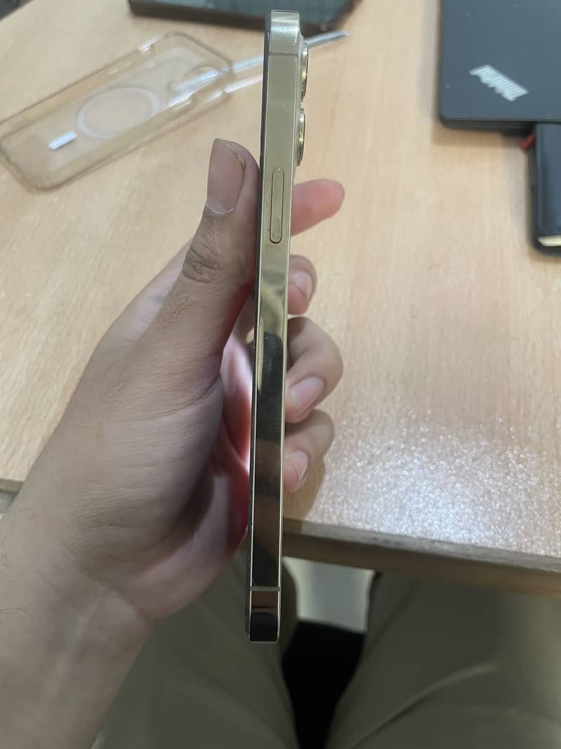 Apple iPhone 12 Pro Max 1