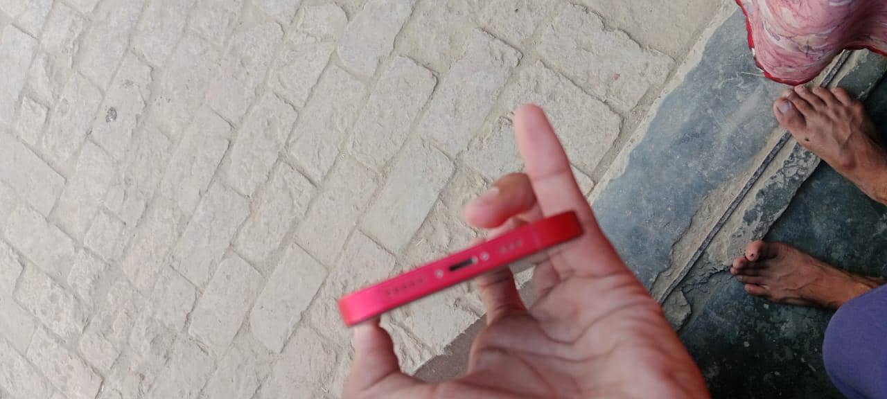 Apple iPhone 14 1