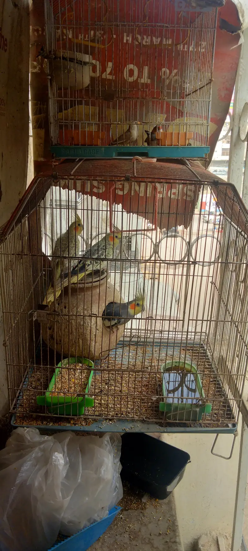 cocktail and Finch — photo 2
