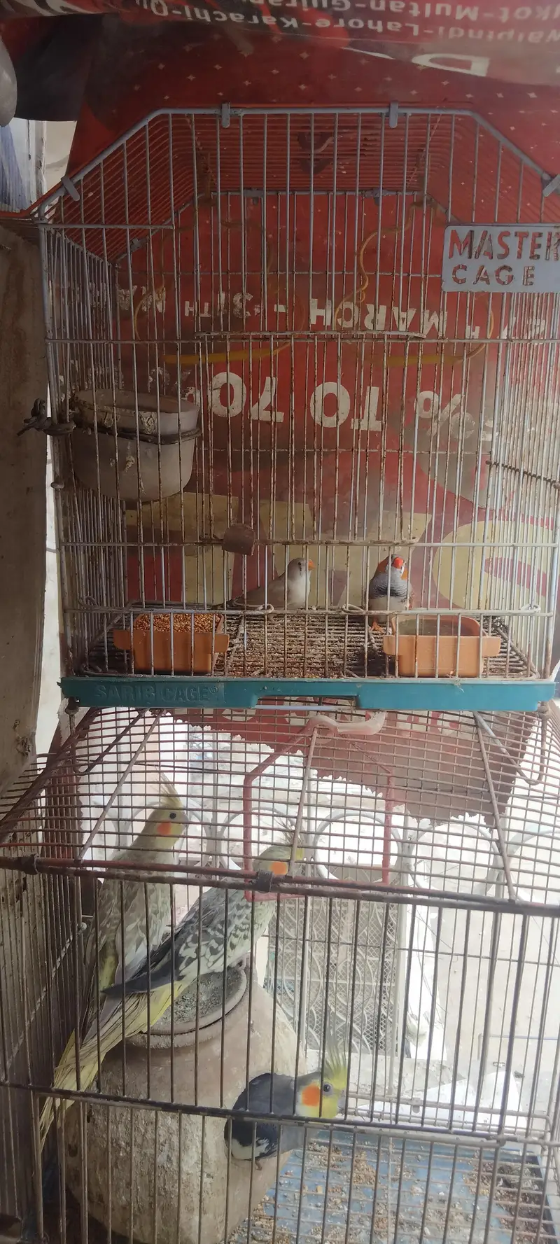 cocktail and Finch — photo 3