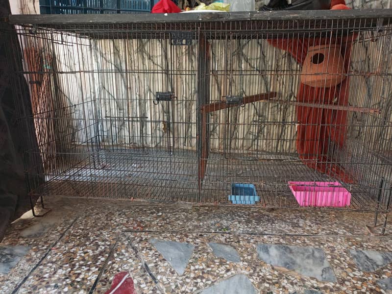 Bird Cage 0