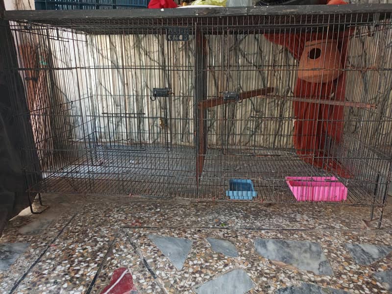 Bird Cage 1