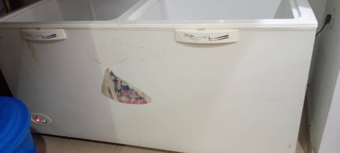 freezer & fridge