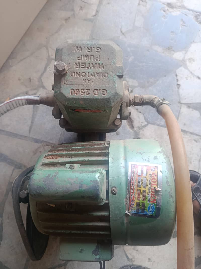 danki pump for sall 1