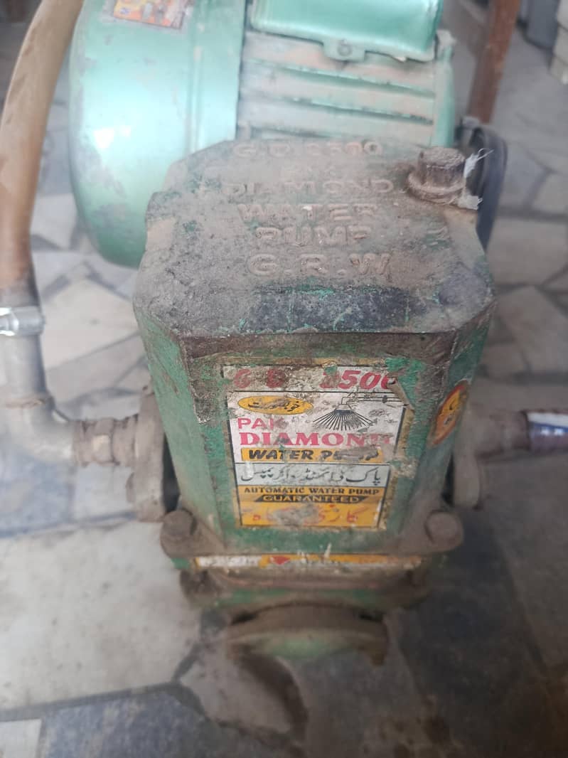 danki pump for sall 2