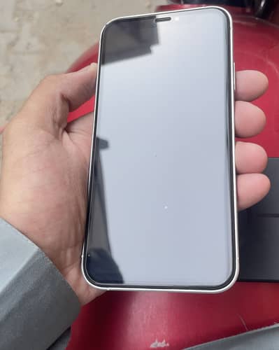 Apple iPhone XR converted 17