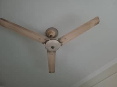 2 ceiling fans for Sale!