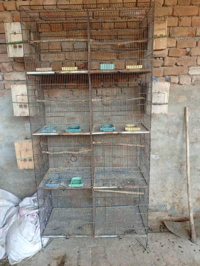 cage for sale