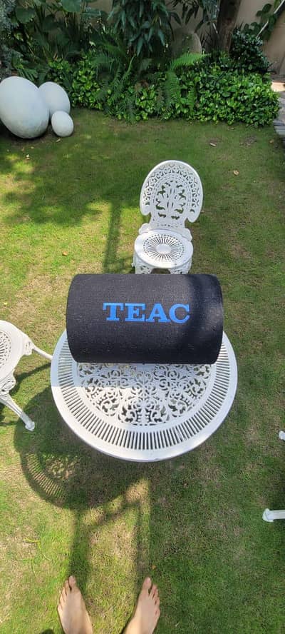 TEAC Car Audio Subwoofer / Powerful Speaker