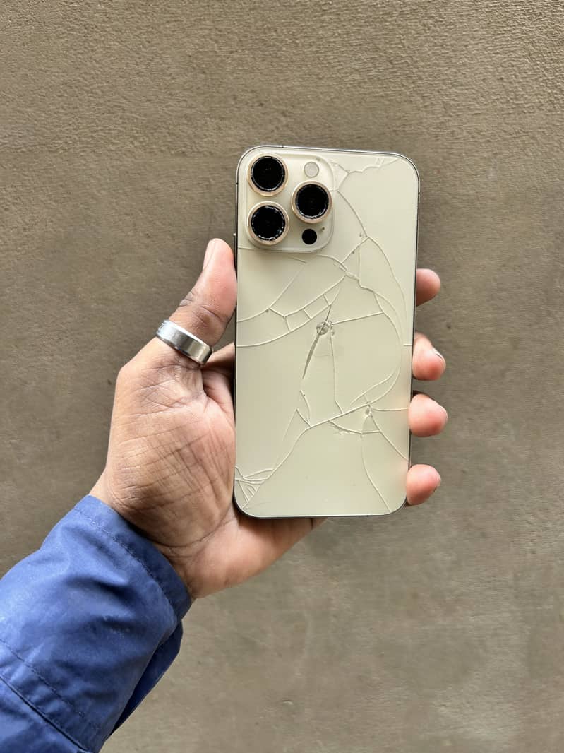 Apple iPhone XR 1