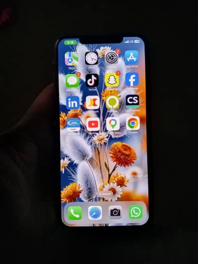 Apple iPhone XS Max