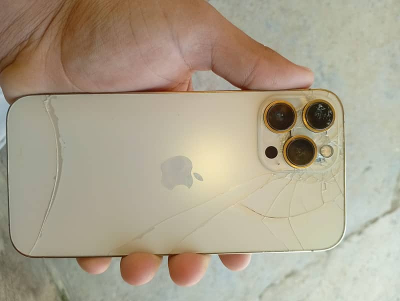 Apple iPhone 13 Pro Max 0