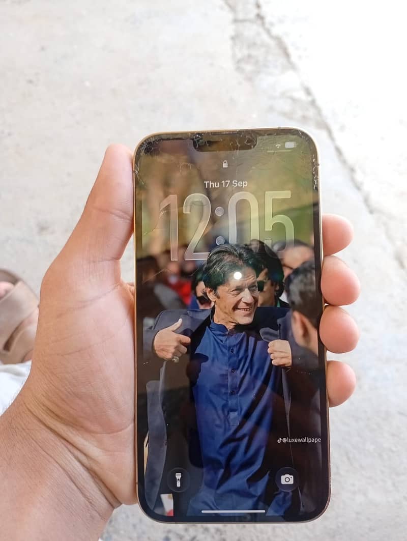 Apple iPhone 13 Pro Max 1
