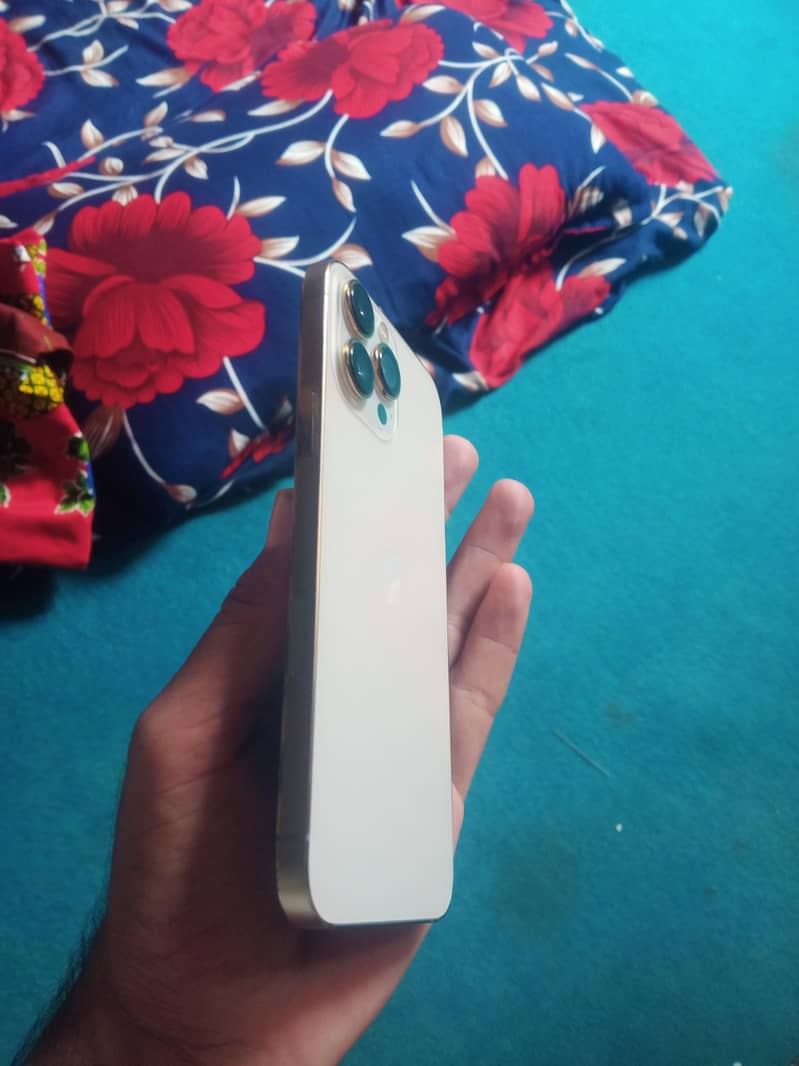 Apple iPhone 13 Pro Max 1