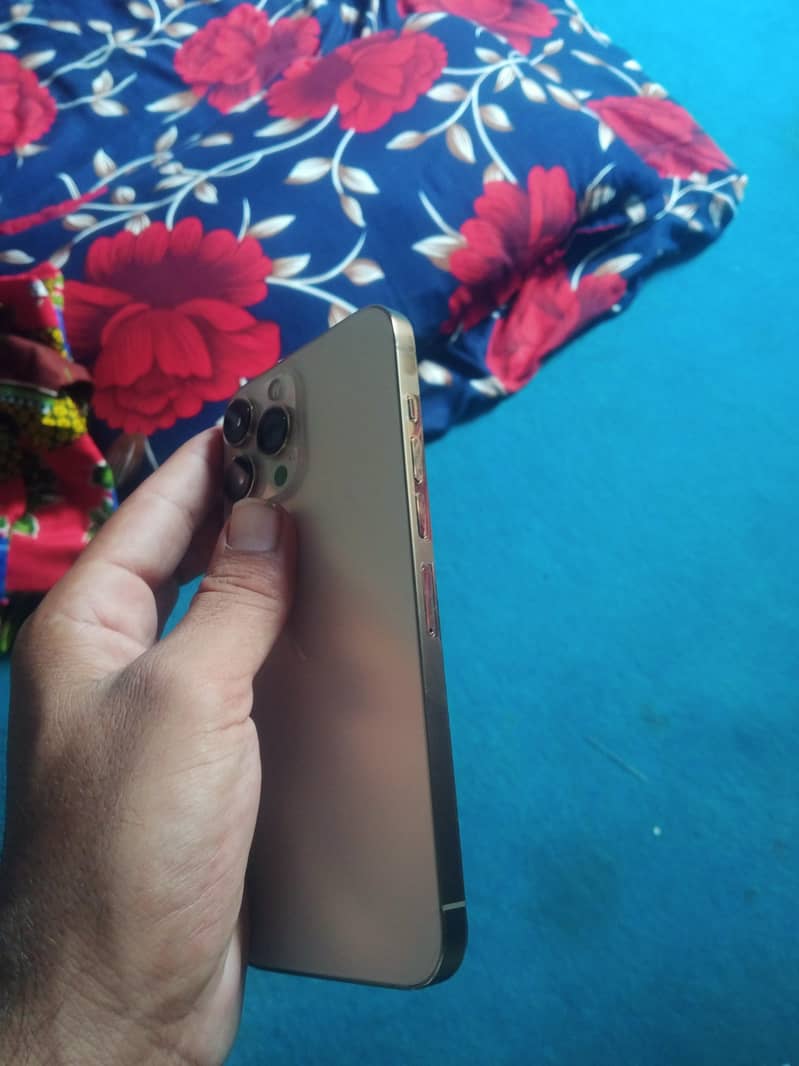 Apple iPhone 13 Pro Max 2