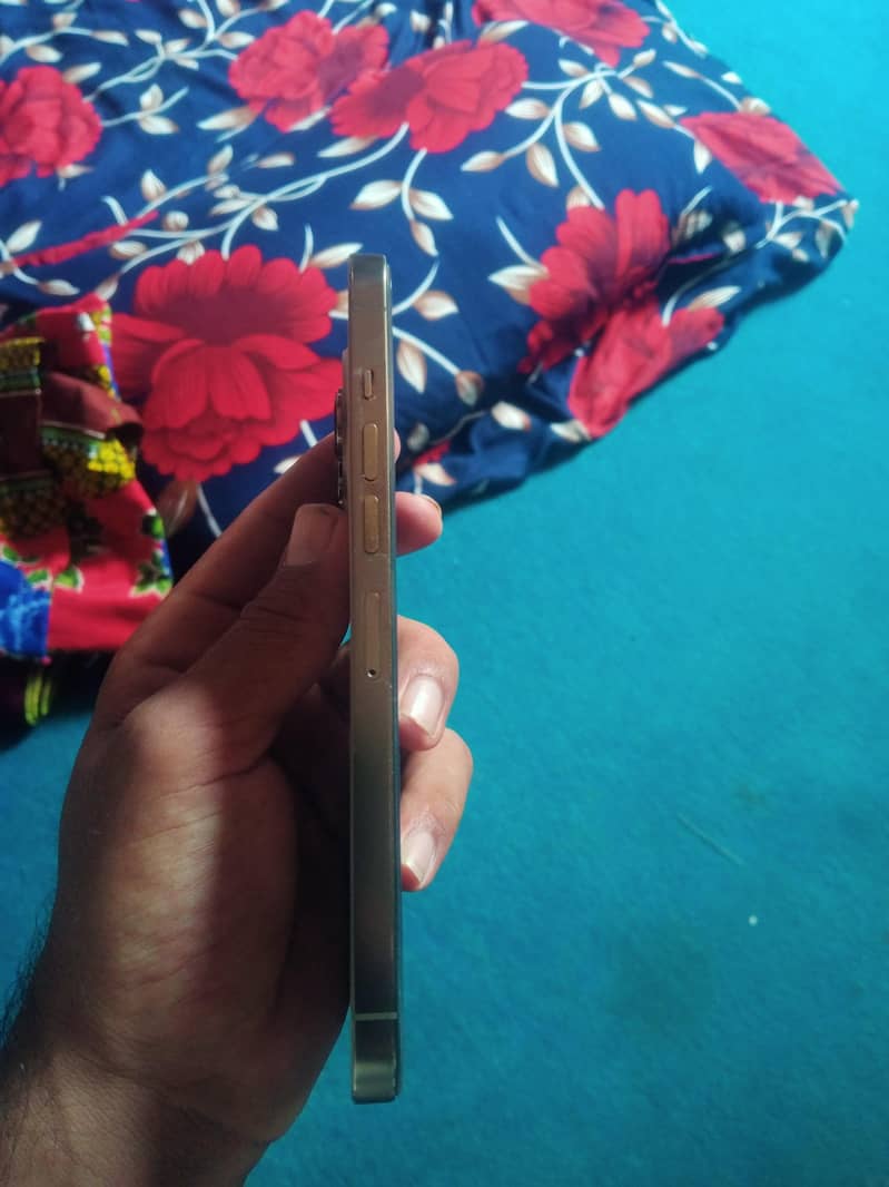 Apple iPhone 13 Pro Max 3