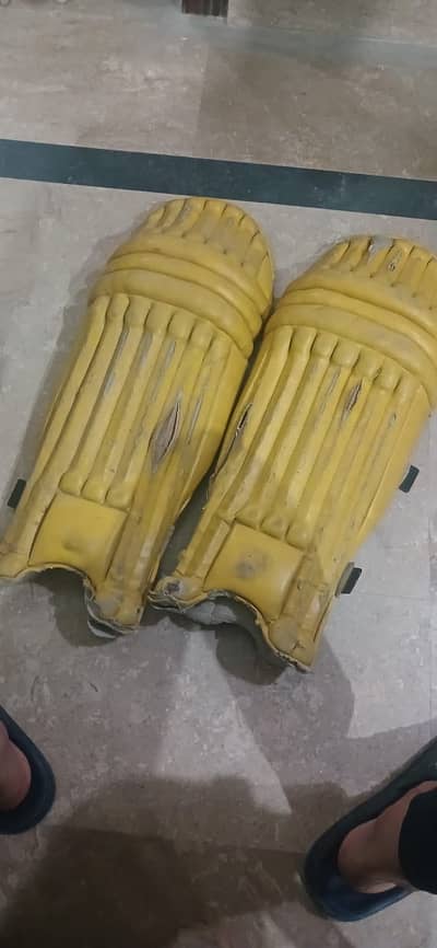 Cricket batting gloves and pads