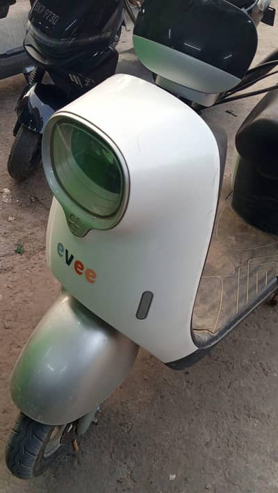 Evee nisa for sale